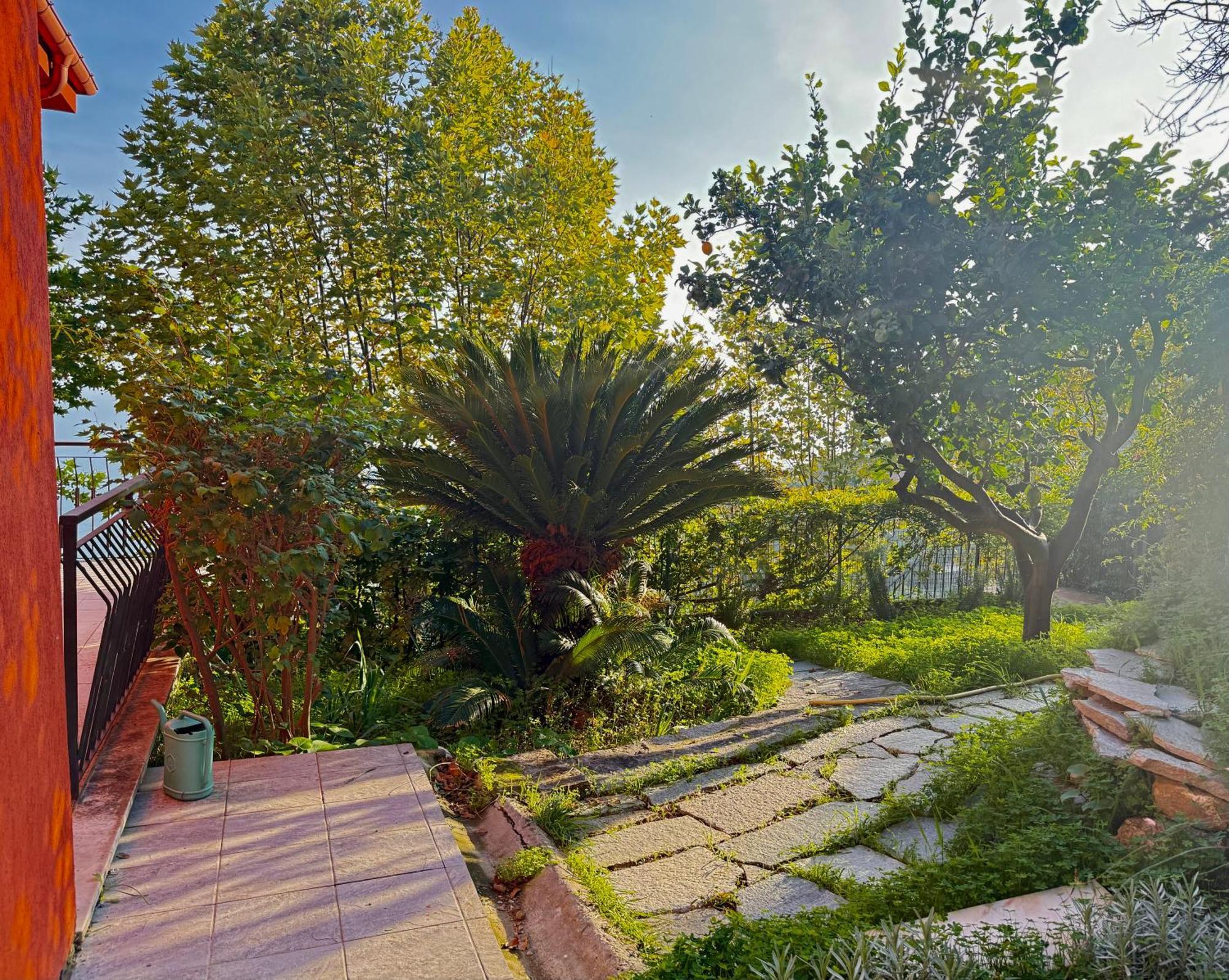 Villa Cielo Costarainera Екстер'єр фото